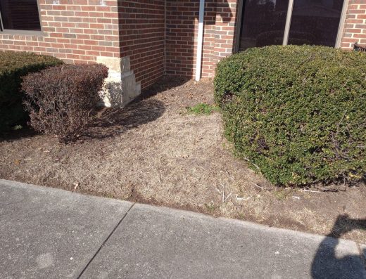 Limitless Lawncare And Landscaping