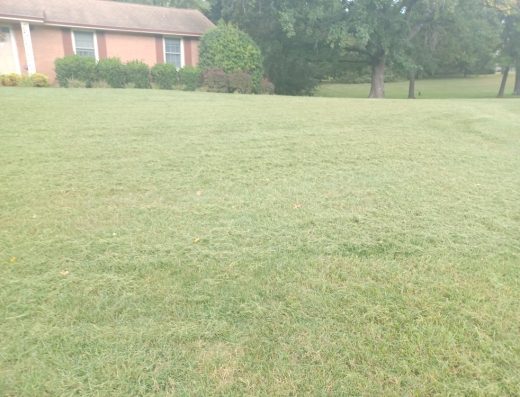 Robinson’s Lawn Care