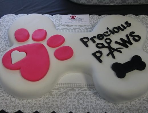 Precious Paws Dog & Cat Grooming