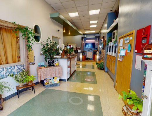 All Around Child Center For Exploration and Development