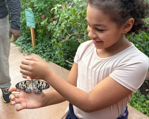 Refocus Counseling Ministry – PhD