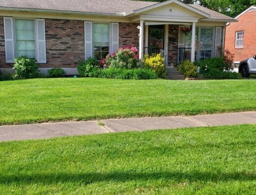Clip It Clean It Lawn Care