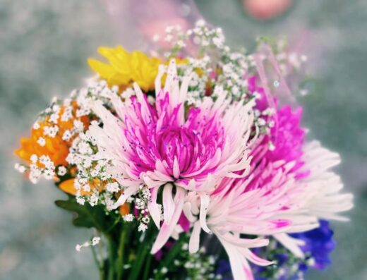 Colour Me Floral Shoppe & Events