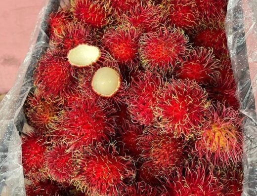J & G Soto Produce