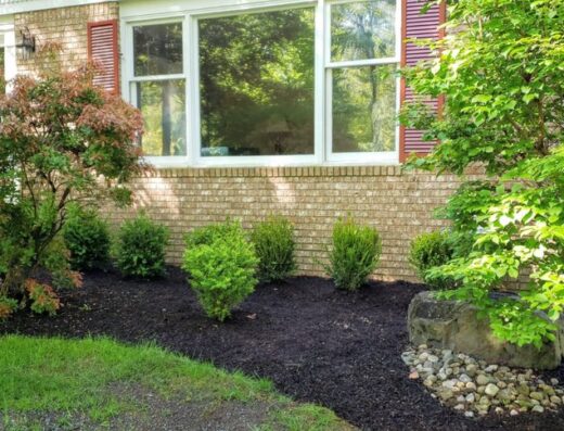 Mariano Reyes And Son Landscaping