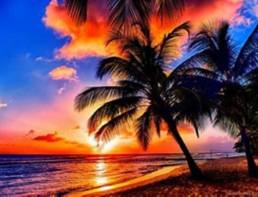 Tracey’s Travel Creations