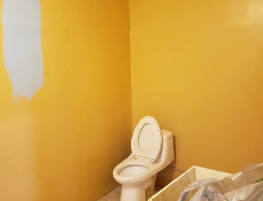 Eagle Eye Post Construction Service