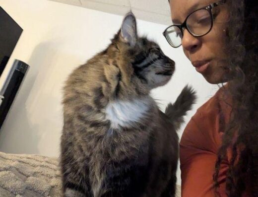 Pawsitive Purrspective