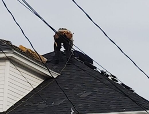 Roof